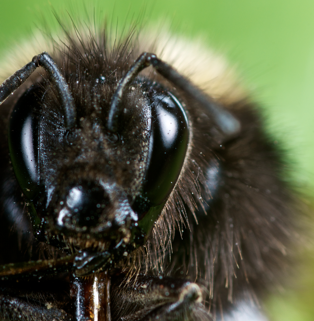 gestaltungspunkt blickpunkt galerie