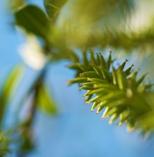 gestaltungspunkt blickpunkt galerie