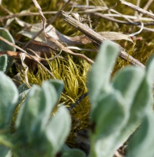 gestaltungspunkt blickpunkt galerie