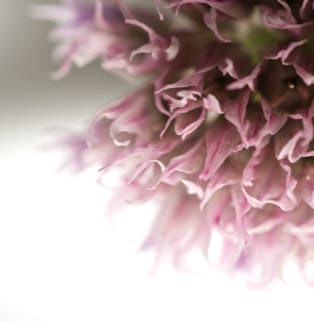 gestaltungspunkt blickpunkt galerie