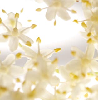 gestaltungspunkt blickpunkt galerie