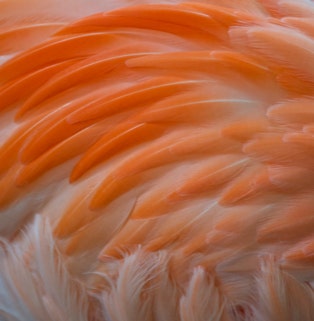 gestaltungspunkt blickpunkt galerie