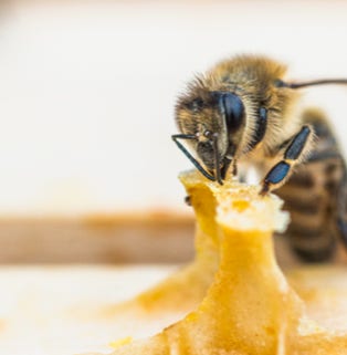 gestaltungspunkt blickpunkt galerie