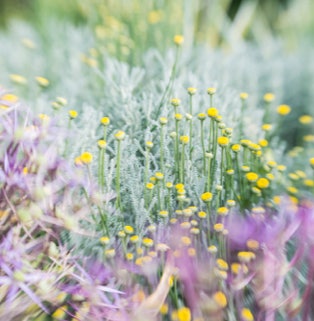 gestaltungspunkt blickpunkt galerie